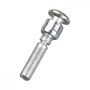 Stainless Steel/Stainless Steel Lock Bolt